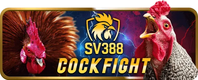 Người chơi đang tận hưởng Game Bài đổi thưởng tại ok8368